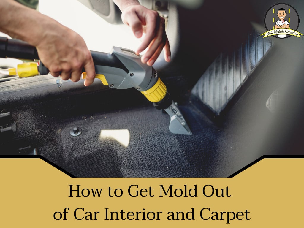 How to Clean Mold Out of Car Carpet?