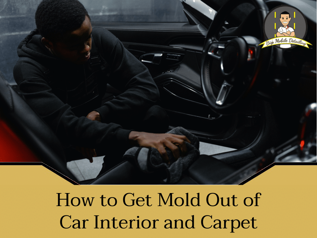How to get mold out of car interior and carpet